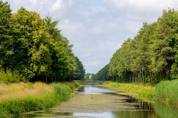 Summer countryside landscape, Cement concrete bridge with tree trunks and green leaves, Schipbeek canal between Holten and Bathmen, Overijssel province, Located in the eastern part of the Netherlands.