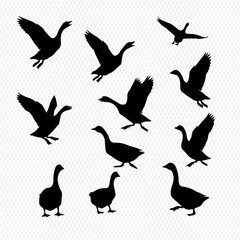 A collection of black goose silhouettes in various poses, including flying, landing, standing, and walking.