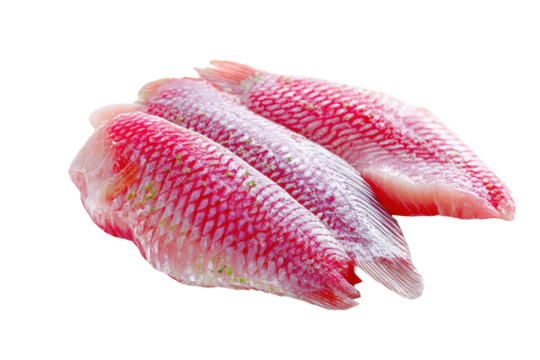 Freshly caught red snapper fillets ready for cooking or grilling in a white background setting