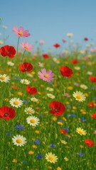 Naklejka premium Vibrant wildflowers in sunny meadow.