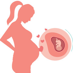 Pregnant woman silhouette with fetus – nurturing pregnancy illustration