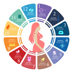 Pregnancy stages infographic – 12-step circular chart with woman silhouette