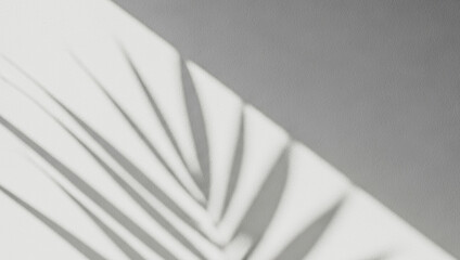 Palm leaf shadow on a white surface with gray background, forming a clean tropical silhouette that...