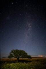 Naklejka premium Pampas landscape photographed at night with a starry sky, La Pampa province, Patagonia , Argentina.