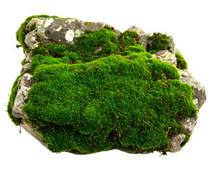 A large stone boulder with patches of green moss, isolated on a transparent background, suitable for environmental design.