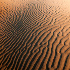 Natural designs and shapes in the sand, caused by the wind.