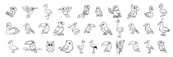 Illustration showing a variety of cartoon birds including toucans, flamingos, parrots and other species