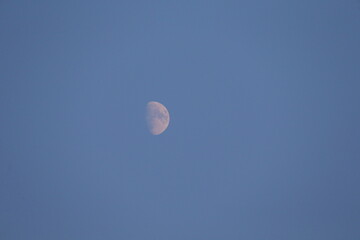 Moon
