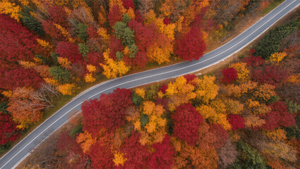 Aerial view of a winding road through colorful autumn forest.
