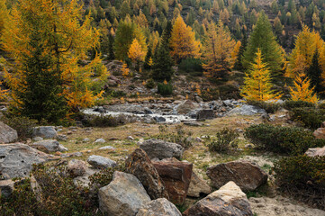autumnal landscape inside Forni&rsquo;s Glacier Valley, Santa Caterina Valfurva, Bormio, Sondrio