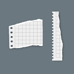 Torn Grid Paper Fragment with Hole Punched Margin