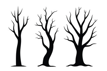 Stunning black silhouette of bare trees with intricate branches against a clean white background