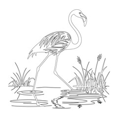 Flamingo in Water Outline