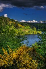 Fototapeta premium Lake Cammazes in Occitania. Photo of a lake surrounded by forests in the early morning in the Montagne Noire in South of France
