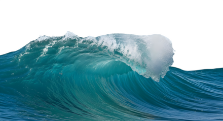 A large ocean wave curling and about to break    .ai generative, transparent background, white background. isolated on white background, png, jpeg, jpg.