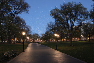 Fototapeta premium mesmerizing evening in park where swarm of ultrabright drones fills air creating warm and inviting atmosphere
