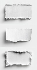 Three pieces of ripped white paper