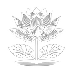 Lotus Flower with Leaves Outline