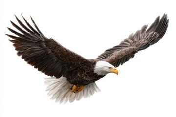 Naklejka premium Majestic bald eagle soaring high with wings spread wide against a clear blue sky, showcasing its powerful flight and impressive wingspan
