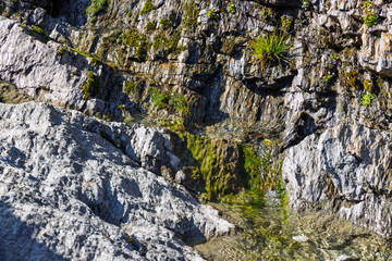 A small mountain stream - Dolomites - Italy