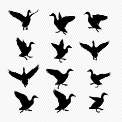 A set of twelve black silhouettes of ducks or geese in various dynamic landing and flapping poses against a checkered background.