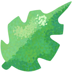 Colored pencil leaves, leaves simple doodle botanical art. 