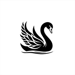Obraz premium Black swan illustration