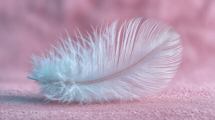 Soft white feather resting on pink surface with delicate texture and gentle lighting