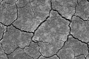 Wall texture soil dry crack pattern of drought lack of water of nature brown old broken background.
