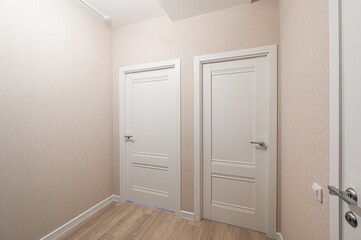 bright hallway features two white paneled doors with silver handles, set against textured beige walls and light wood flooring