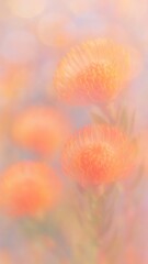 Fototapeta premium Dreamy orange floral elegance