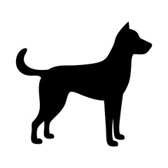 A stark silhouette of a majestic canine standing tall and alertly poised