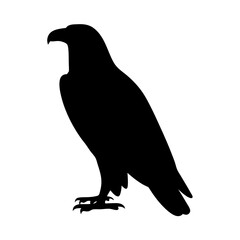 Powerful and majestic black silhouette of a standing bald eagle bird