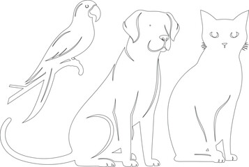 Pet Animals Line Art Collection