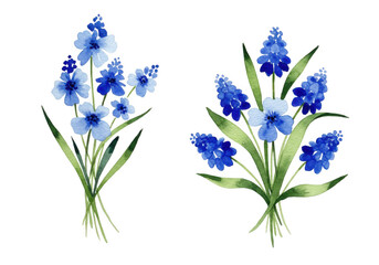 Fototapeta premium Blue flowers isolated on transparent background