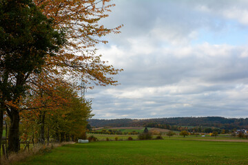 Obraz premium Autumn landscape