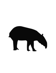 rhino silhouette isolated on white