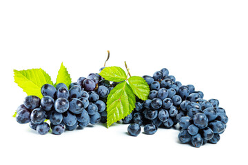 Bunch of blue grapes with leaves isolated on white background.