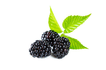 Ripe shiny blackberry with leaves isolated on white background.