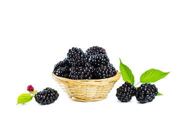 Ripe shiny blackberries with leaves in a wicker basket isolated on a white background.