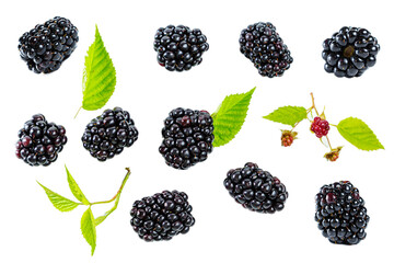 Set of ripe shiny blackberries with leaves isolated on white background.