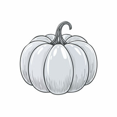 drawn pumpkin icon in doodle style. Mark point icon design collection for food design element