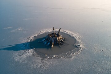 dead tree trunk in ice lake, frozen ground with natural lighting