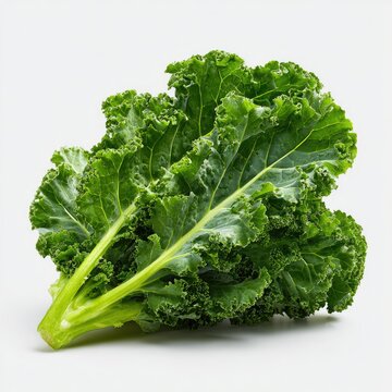 A vibrant bunch of dark green kale leaves, fresh and crisp, rests on a plain white background.  Its thick, textured leaves show detail