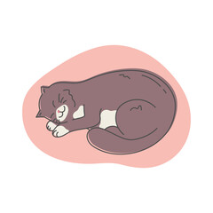 Hand drawn doodle sleeping cat isolated on white background. Cartoon sleepy cat curled up. Vector illustration