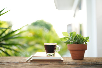 Coffee glass cup and Fittonia albivenis plant, notebook on rustic wood table