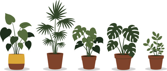 Collection of indoor potted plants, heart-shaped leaves, split leaf foliage, terracotta pots, home decor greenery, botanical illustration, houseplants
