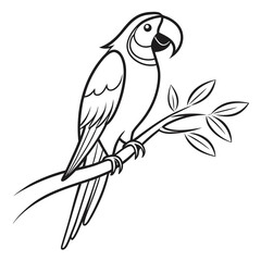 Minimalist line art parrot vector in black