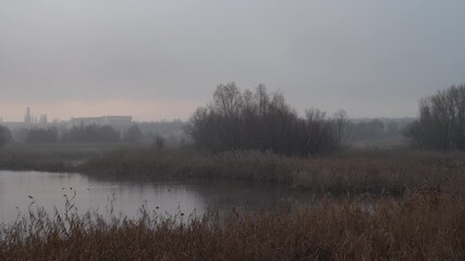 Misty sunrise over a vibrant wetland ecosystem - Powered by Adobe