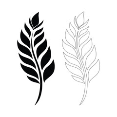 Fototapeta premium Black and white feathers